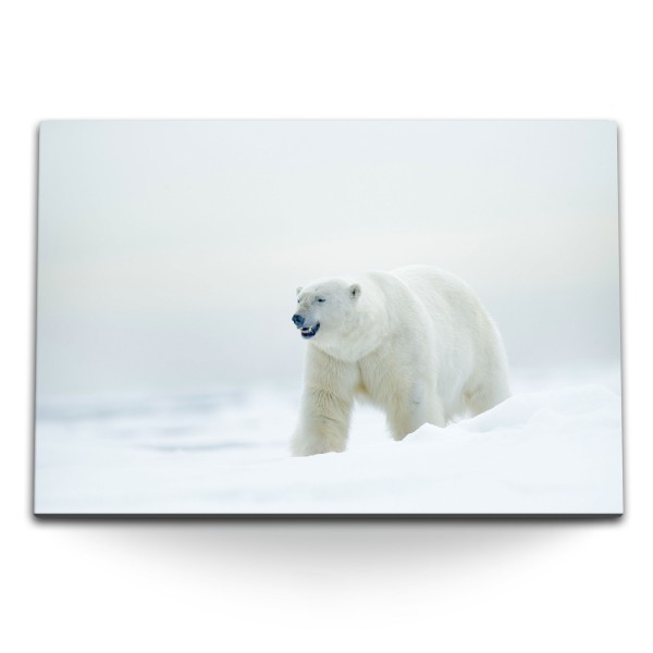 120x80cm Wandbild auf Leinwand Weißbär Nordpol Schnee Weiß Tierfotografie