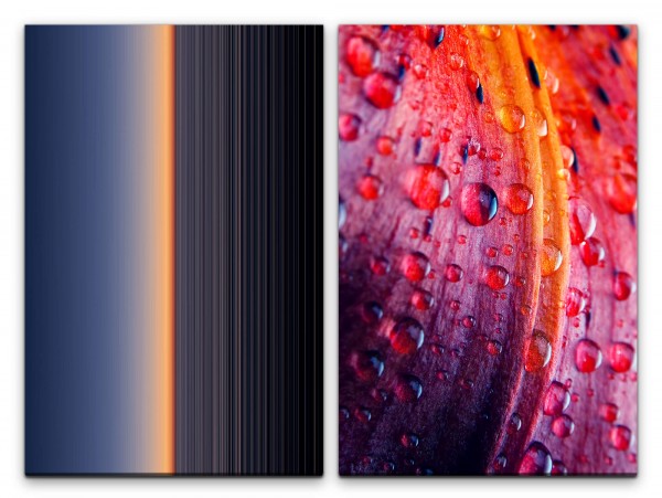 2 Bilder je 60x90cm Minimal Abstrakt Blüte Farbenfroh Regentropfen Dekorativ Makrofotografie