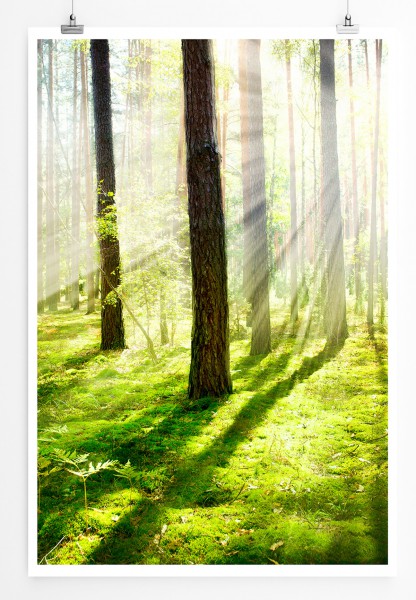 90x60cm Poster Wald mit Sonnenstrahlen