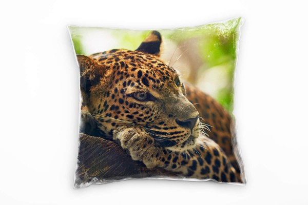 Tiere, liegender Leopard, braun, grün Deko Kissen 40x40cm für Couch Sofa Lounge Zierkissen