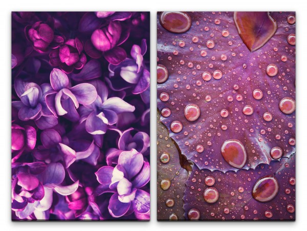 2 Bilder je 60x90cm Orchideen Blüten Regentropfen Kunstvoll Dekorativ Blätter Makrofotografie