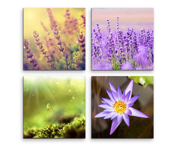 4 teiliges Leinwandbild je 30x30cm - Lavendel Blumen Makroaufnahme