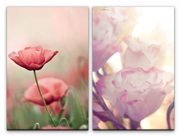 2 Bilder je 60x90cm Mohnblume Tulpen Rosen Blumen Blüten Fotokunst Sommer