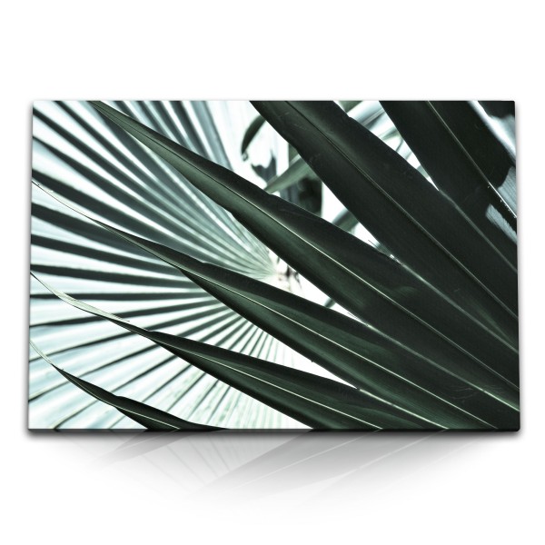 120x80cm Wandbild auf Leinwand Palmblätter Palme Pflanze Grün Fotokunst