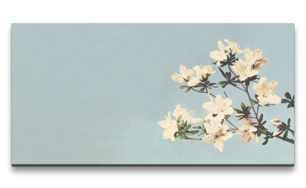 Remaster 120x60cm Ogawa Kazumasa berühmte Fotografie Blüten Frühling Wunderschön