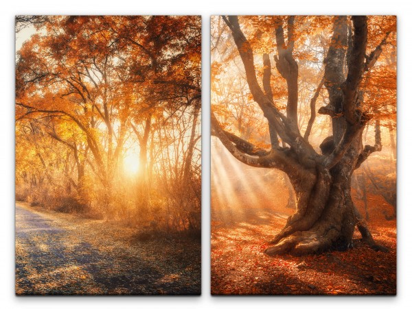 2 Bilder je 60x90cm Wald Herbst Golden Laub Sonnenstrahlen warmes Licht Idyllisch