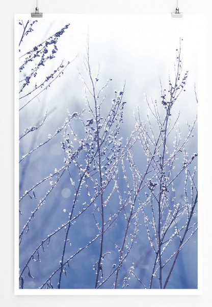 60x90cm Poster Naturfotografie  Eisbedeckte Zweige