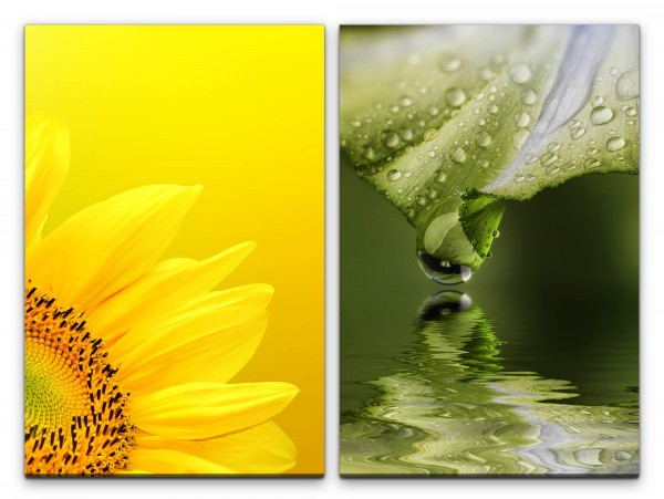 2 Bilder je 60x90cm Sonnenblume Gelb Tropfen Grün See Nahaufnahme Erfrischend
