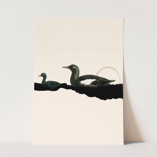Vogel Motiv Enten einzigartiges Design Schwarz Minimal