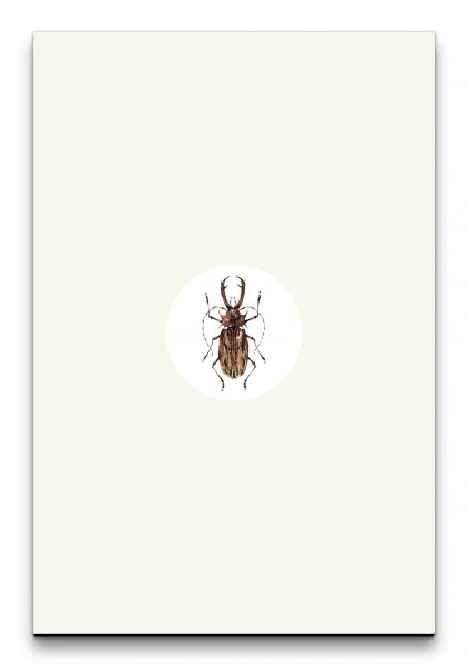 Käfer Insekt Minimalistisch Design Modern weißer Kreis
