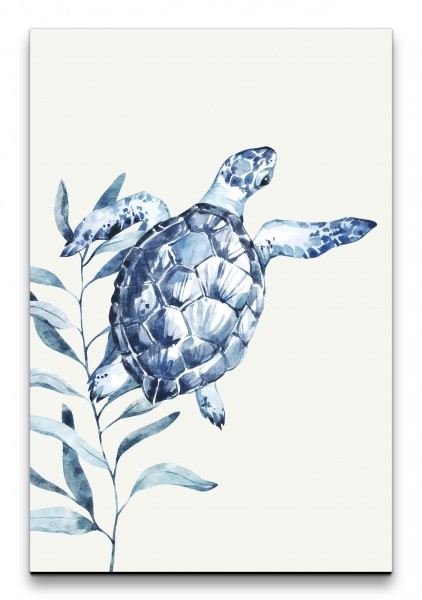 Wasserschildkröte Blau Wasserfarben Aquarell Schön Dekorativ