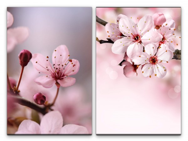2 Bilder je 60x90cm Kirschblüte Frühling Sakura Kirschblütenzweig Dekorativ Kunstvoll Dekorativ