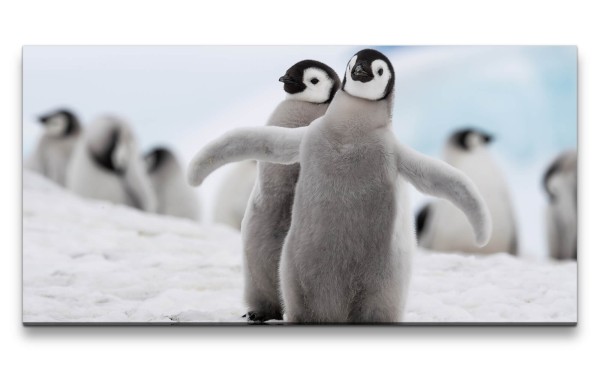 Leinwandbild 120x60cm Baby Pinguine süß Flauschig graues Fell Lieblich