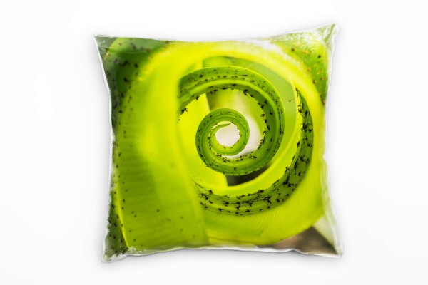 Macro, Natur, Spirale, grün Deko Kissen 40x40cm für Couch Sofa Lounge Zierkissen
