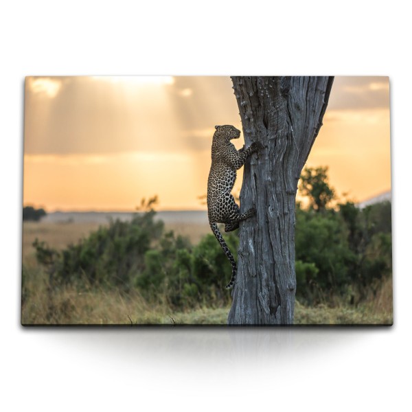 120x80cm Wandbild auf Leinwand Leopard auf Baum Tierfotografie Raubkatze Landschaft