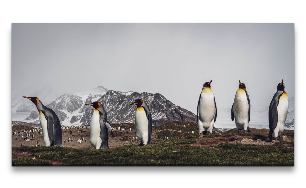 Leinwandbild 120x60cm Kaiserpinguine Pinguine Eis Antarktis Pinguinkolonie