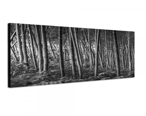 150x50cm Bambuswald Hintergrund grün