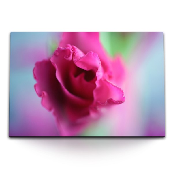 120x80cm Wandbild auf Leinwand Rosa Blume Blüte Nahaufnahme Kunstvoll