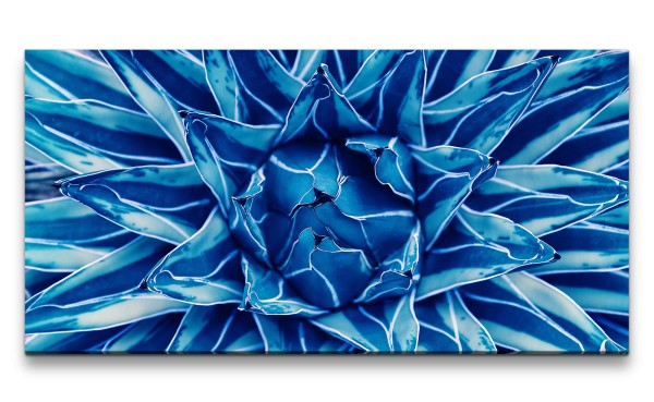 Leinwandbild 120x60cm Blaue Pflanze Fotokunst Dekorativ Kunstvoll Nahaufnahme