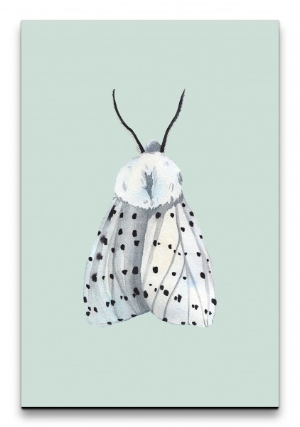 Motte Flügel Weiß Grau Wasserfarben Aquarell Minimalistisch