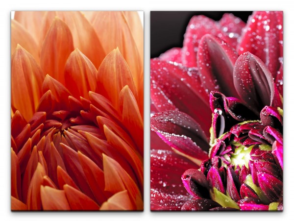 2 Bilder je 60x90cm Dahlie Zinnien rote Blumen Sommer Blüten Fotokunst Makrofotografie