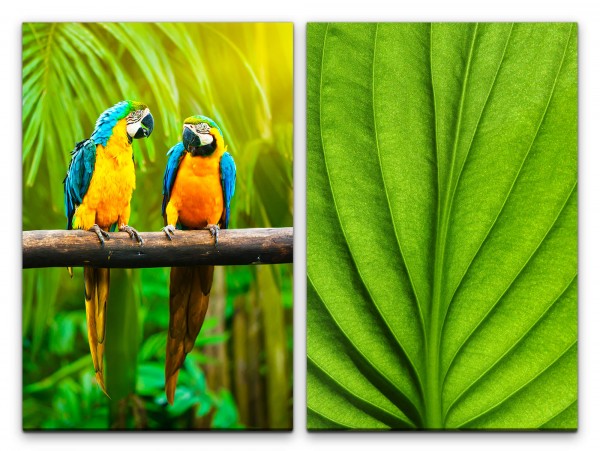 2 Bilder je 60x90cm Paradies Palmen Papagei Pärchen grünes Blatt Tropisch Exotisch