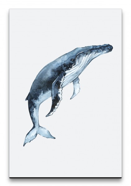 Buckelwal Aquarell Wal Wasserfarben Harmonisch Ruhig Blau