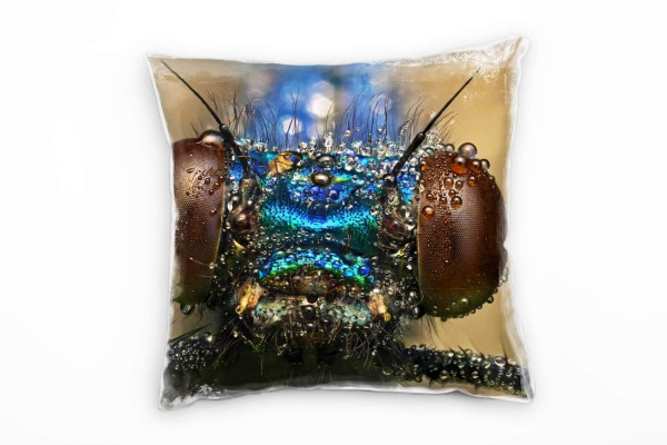 Macro, Tiere, braun, blau, Insekt, Augen Deko Kissen 40x40cm für Couch Sofa Lounge Zierkissen