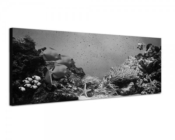 150x50cm Korallenriff Unterwasser Fische Seesterne