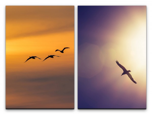 2 Bilder je 60x90cm Möwe fliegende Vögel Himmel Sonne Wolken Freiheit Ruhe