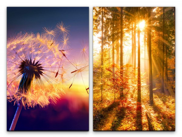 2 Bilder je 60x90cm Pusteblume Wald Sommer Sonnenstrahlen warmes Licht Heilsam positive Energie