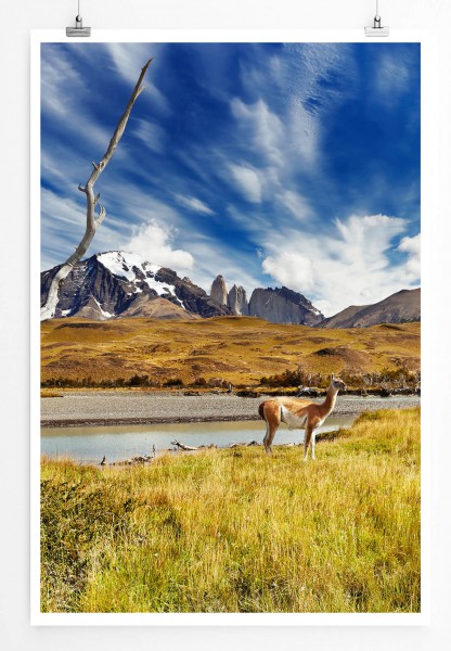 60x90cm Landschaftsfotografie Poster Torres del Paine Nationalpark Patagonien Chile