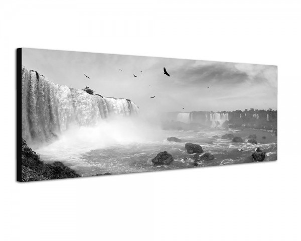 150x50cm Brasilien Wasserfälle Vögel Wolkenschleier