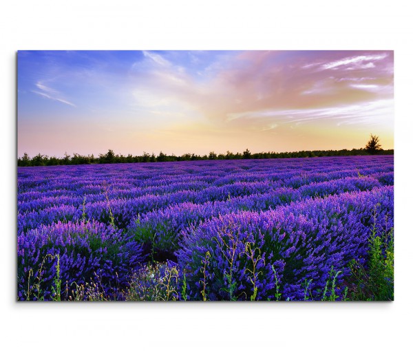 Wandbild Leinwanduhr Lavendel Italien XXL WANDUHR PROVONCE auf Leinwand 