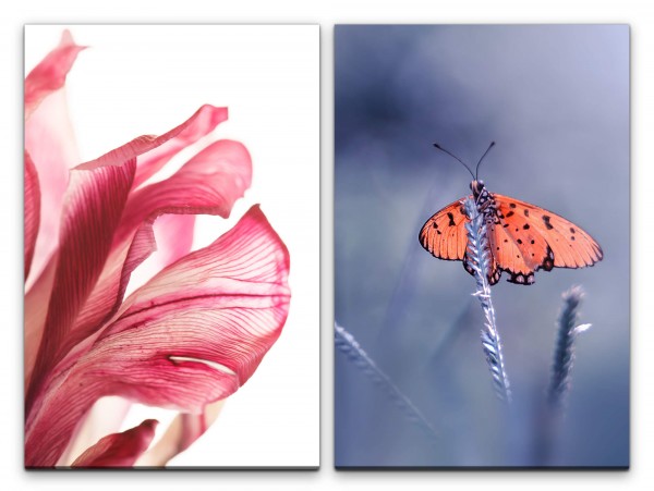 2 Bilder je 60x90cm Amaryllis Schmetterling Blume Blüte Rot Türkis Nahaufnahme
