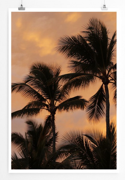 Naturfotografie 60x90cm Poster Palmensilhouetten