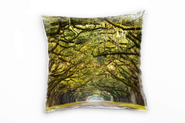 künstlerische Fotografie, Allee, alte Bäume, grün Deko Kissen 40x40cm für Couch Sofa Lounge Zierkiss