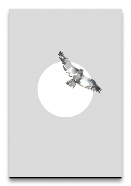 Vogel Taube Grautöne Wasserfarben weißer Kreis Minimal