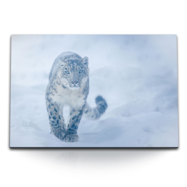120x80cm Wandbild auf Leinwand Schneeleopard Raubkatze Schnee Winter Wildnis