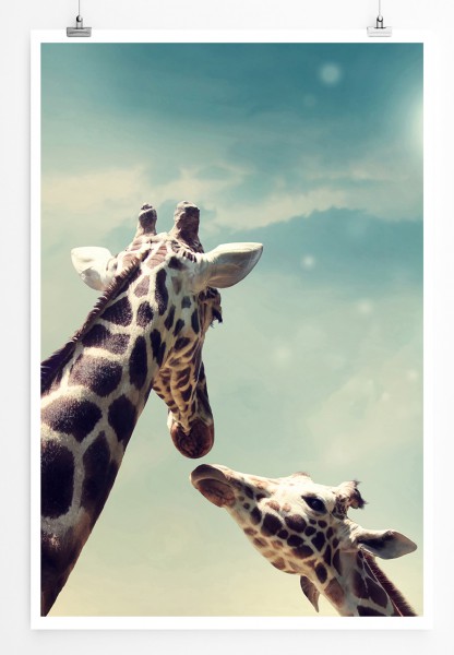 90x60cm Poster Tierfotografie Giraffenfamilie Mutter und Kind und Sonne