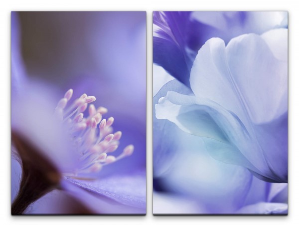 2 Bilder je 60x90cm Tulpe Blau Blumen Sanft Weich Zart Dekorativ