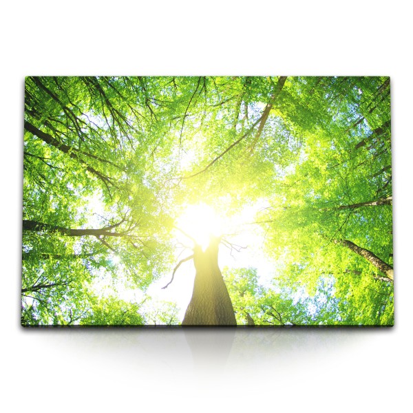 120x80cm Wandbild auf Leinwand Sonnenschein Baumkronen Himmel Natur Grün