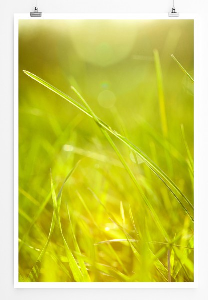 90x60cm Poster Fotografie Saftiges hellgrünes Gras