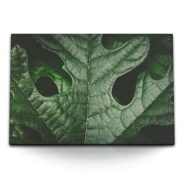 120x80cm Wandbild auf Leinwand Grünes Pflanzenblatt Makrofotografie Natur Kunstvoll
