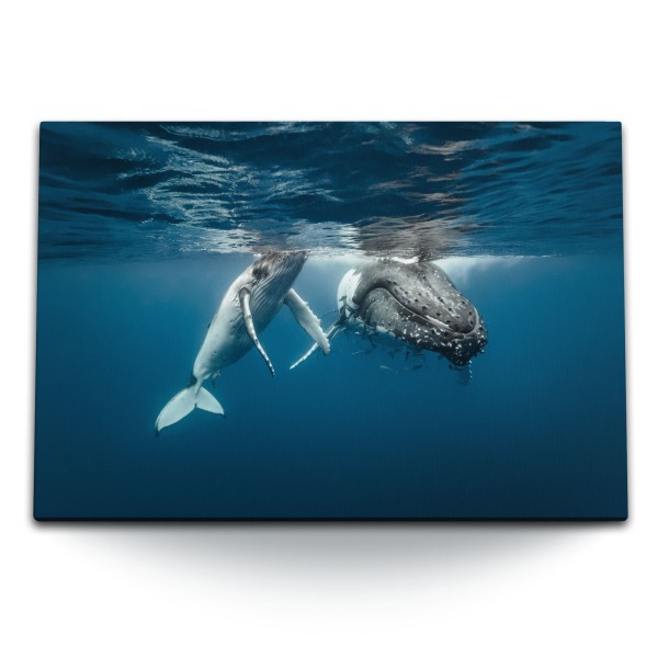 120x80cm Wandbild auf Leinwand Grauwal Mutter mit Kind Blau unter Wasser Ozean