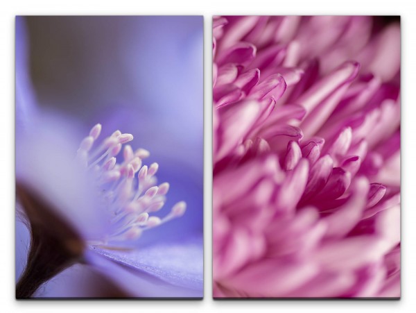 2 Bilder je 60x90cm Blumen Blüten Blau Rosa Dekorativ Zart Makrofotografie