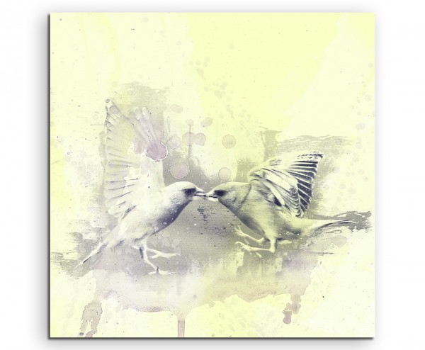 Birds 60x60cm Aquarell Art Leinwandbild