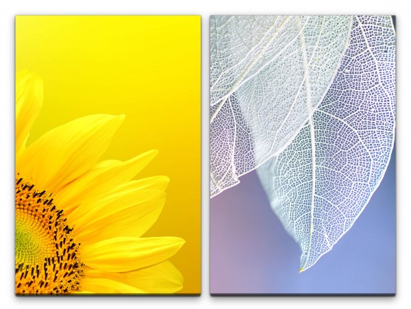 2 Bilder je 60x90cm Sonnenblume Gelb Weiße Blüten Blau Nahaufnahme Makrofotografie
