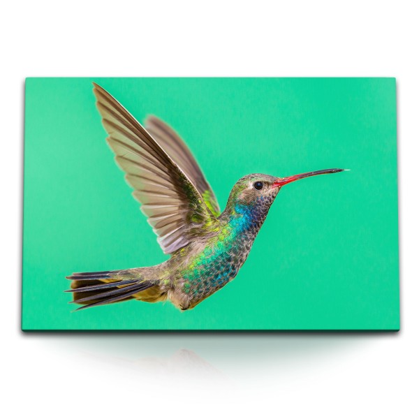 120x80cm Wandbild auf Leinwand Kolibri exotischer Vogel Grün Farbenfroh Tierfotografie