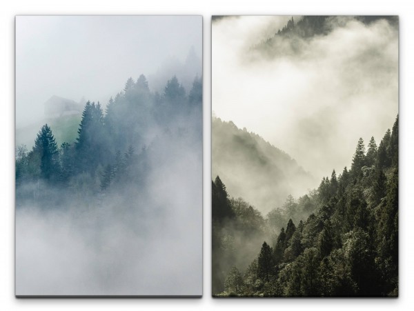 2 Bilder je 60x90cm Tannenwald Tannen Nebel Wolken Natur Unberührt Morgentau